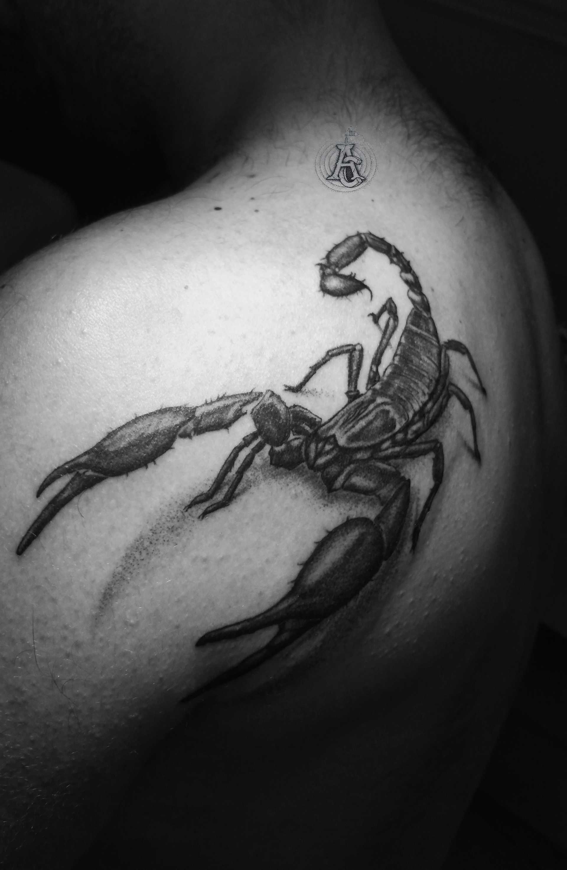 Scorpion (1)