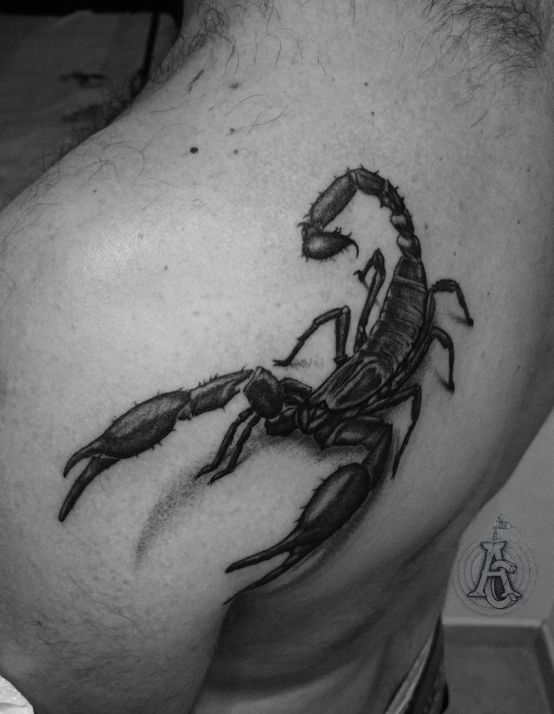 Scorpion