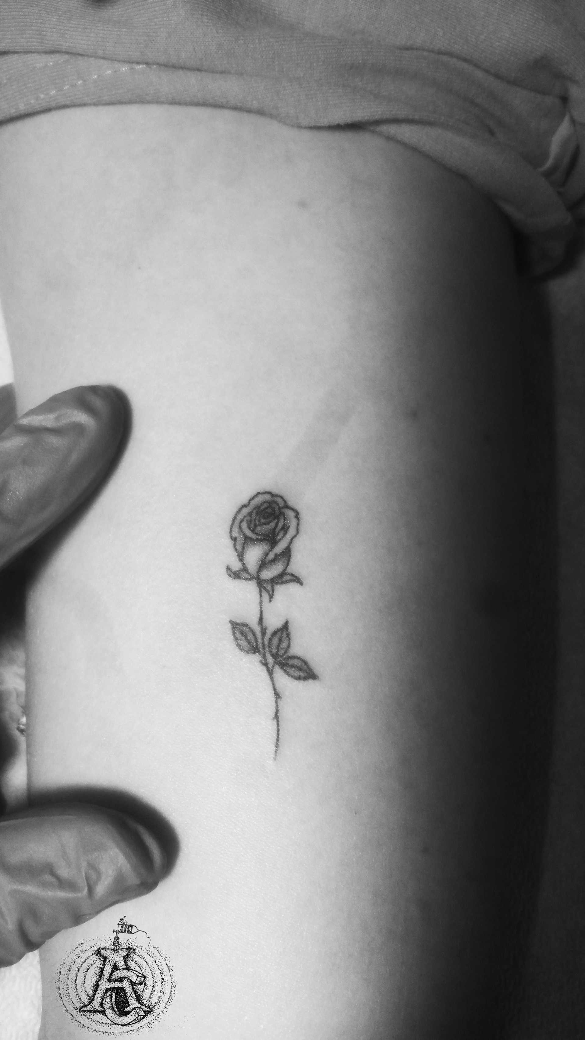 Mini rose
